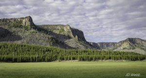 meadows