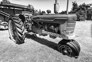 tractor-1-of-1